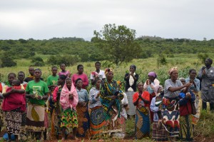Farmers at an AGRA-supported demonstration plot, Mozambique. Credit, Agriculture for Impact