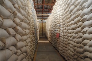 Grain warehouse, Jinga. Credit, Agriculture for Impact.
