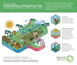 SI_Infographic