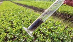 Soil test for beans, Rwanda. Credit AGRA