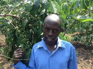 Kigundu Gerald, a KCFCS member since 2006, with his coffee plants. Credit, KCFCS.
