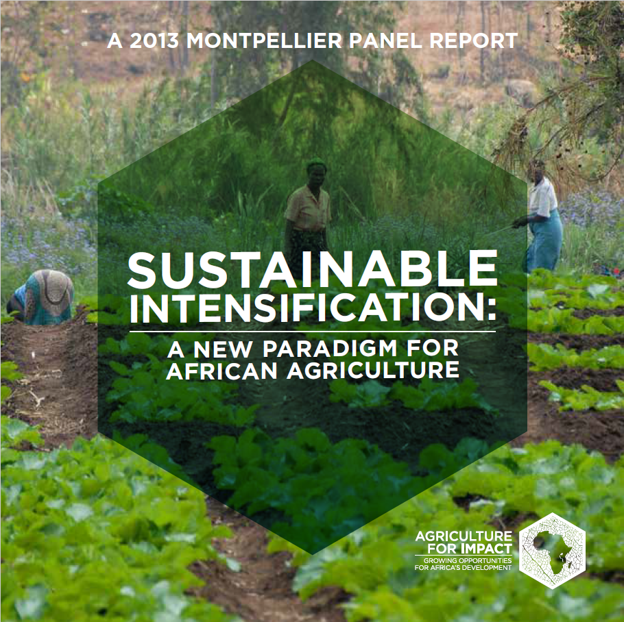 Agriculture For Impact SUSTAINABLE INTENSIFICATION: A NEW PARADIGM FOR ...