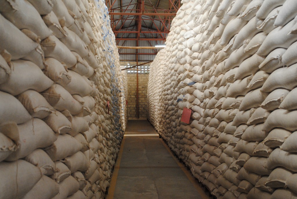 Agriculture for Impact Local Institutions